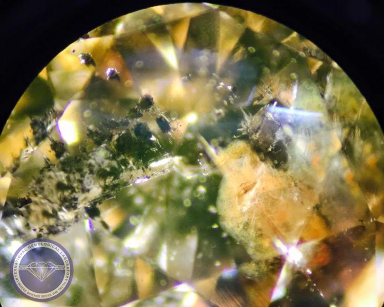 Natural Inclusions in a Natural Diamond - Photo by: Naveed Zafar G.G., AJP (GIA).