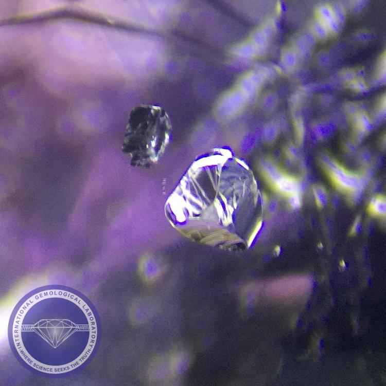 Crystal Inclusion in a Natural Sapphire - Photo by: Naveed Zafar G.G., AJP (GIA).