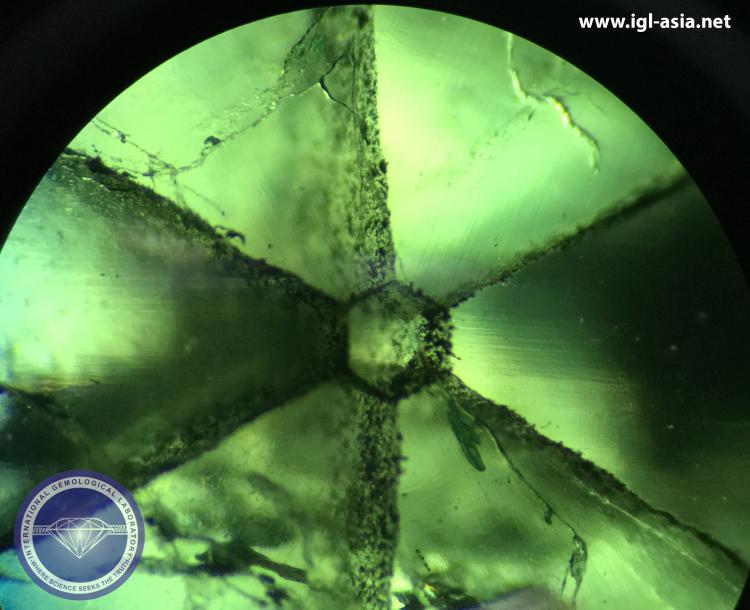 Black carbon impurities fill in at the emerald crystal junction which forms a radial pattern with a six-pointed star effect in a Natural "Traphice" Emerald (Beryl).  Photo by: Naveed Zafar G.G., AJP (GIA).