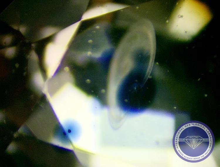 Dark blue halo around rutile crystals in beryllium lattice diffusion treated in corundum. - Photo by: Naveed Zafar G.G., AJP (GIA)