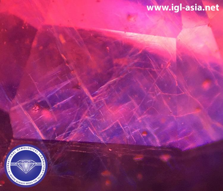Purple and Pink Flash effects in a Natural Ruby which is treated by Lead-Glass Fill.  Photo by: Naveed Zafar G.G., AJP (GIA).